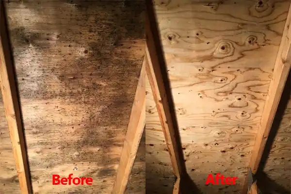 water damage restoration service New Middletown